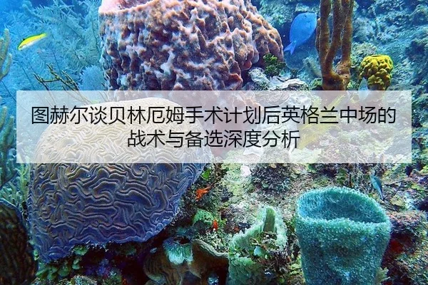 tu-he-er-tan-bei-lin-e-mu-shou-shu-ji-hua-hou-ying-ge-lan-zhong-chang-de-zhan-shu-yu-bei-xuan-shen-du-fen-xi-1-599.jpg