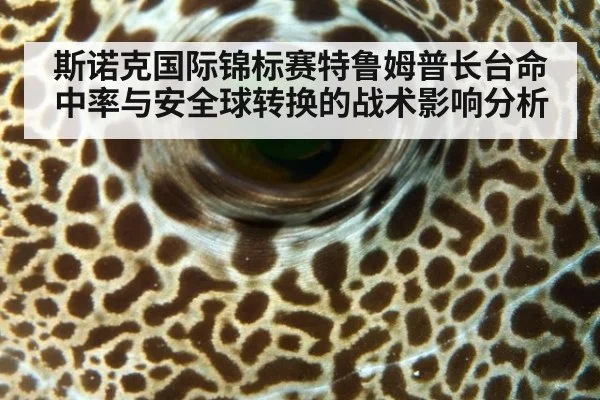 斯诺克国际锦标赛特鲁姆普长台命中率与安全球转换的战术影响分析